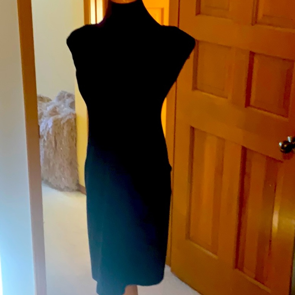 Black dress. Back zip. Knee length